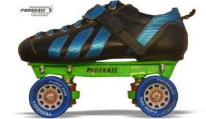 Manufacturers Exporters and Wholesale Suppliers of Proskate Rapid Fire Karnal Haryana